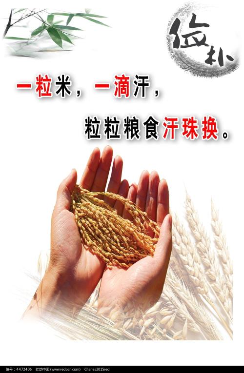 山东财经大学学士学位证封面